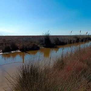 rincn-del-delta.catalonia-hotels.com/